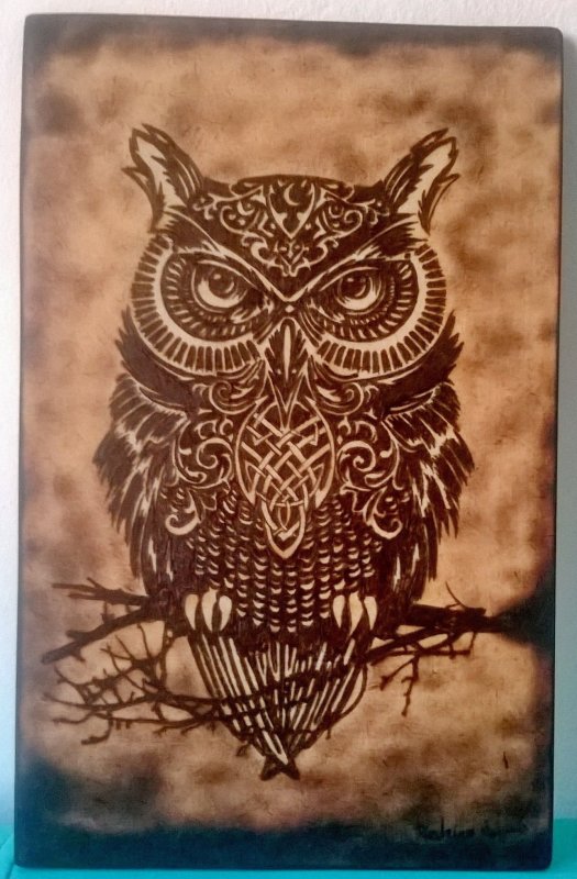 Эскиз Совы для выжигания