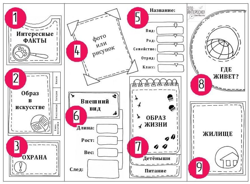 Интересные кармашки для лэпбука
