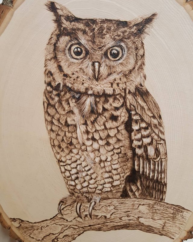 Филин Выжигание