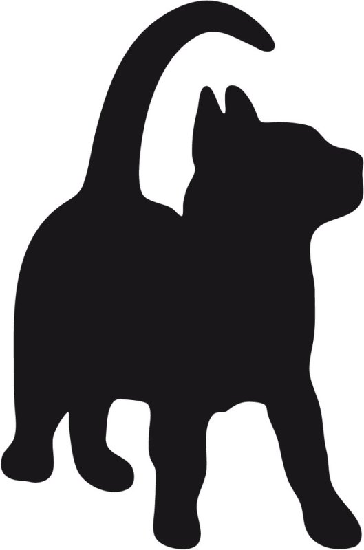 Трафарет кошки