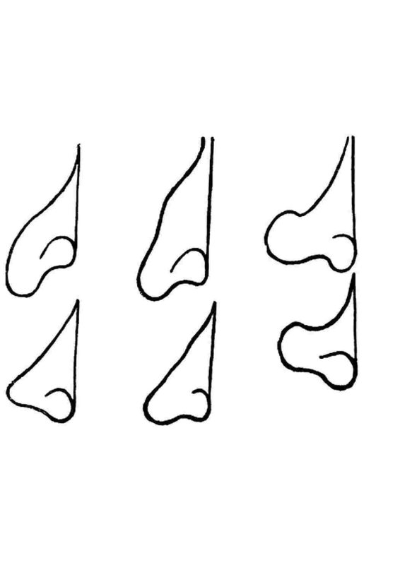 Нос раскраска