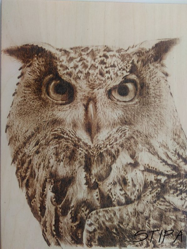 Сова для выжигания