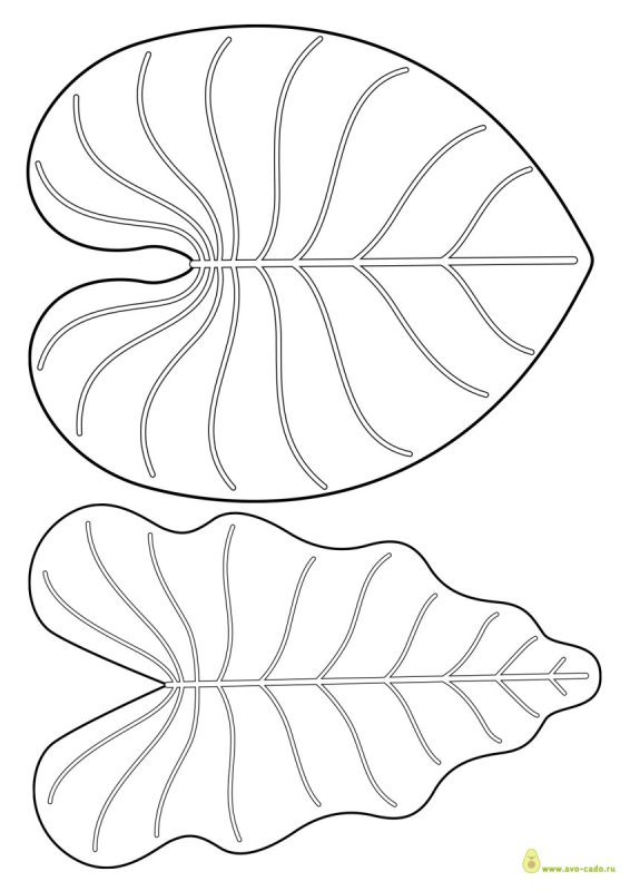 Лист кувшинки трафарет для вырезания