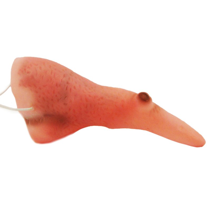 Нос бабы яги своими