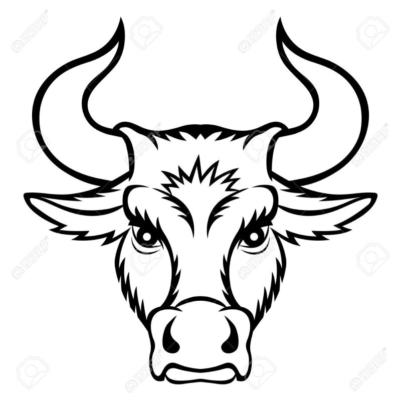 Голова быка рисунок