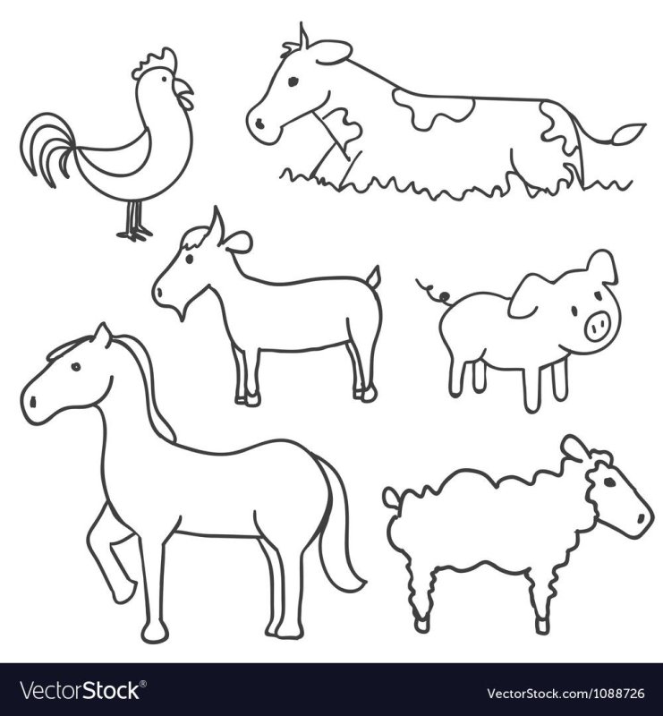 Раскраска сельскохозяйственные животные для детей