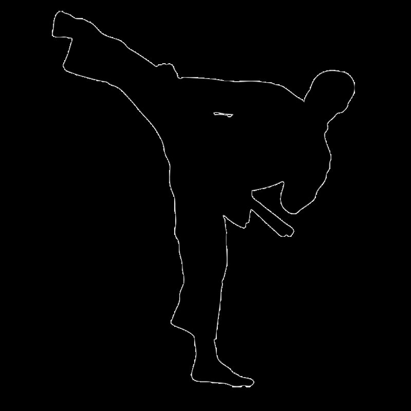 Каратэ силуэт