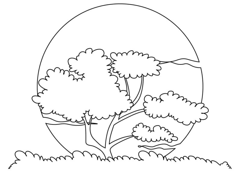 Природа шаблон для рисования