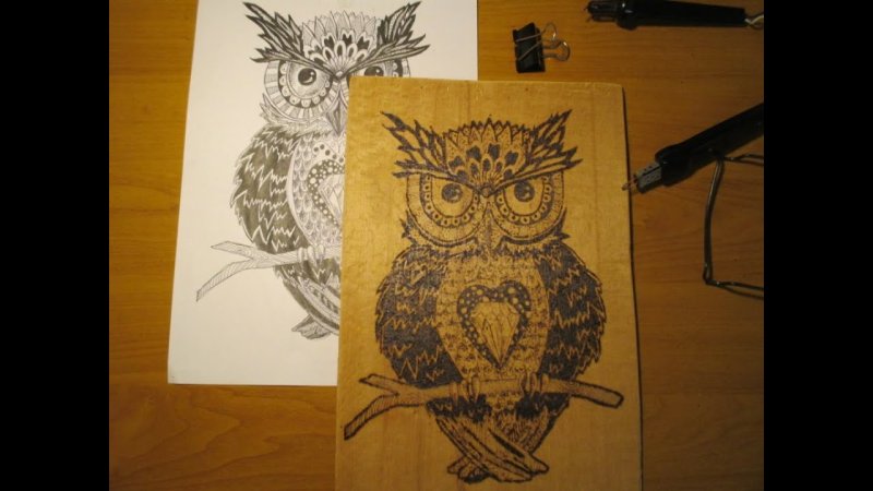 Сова для выжигания