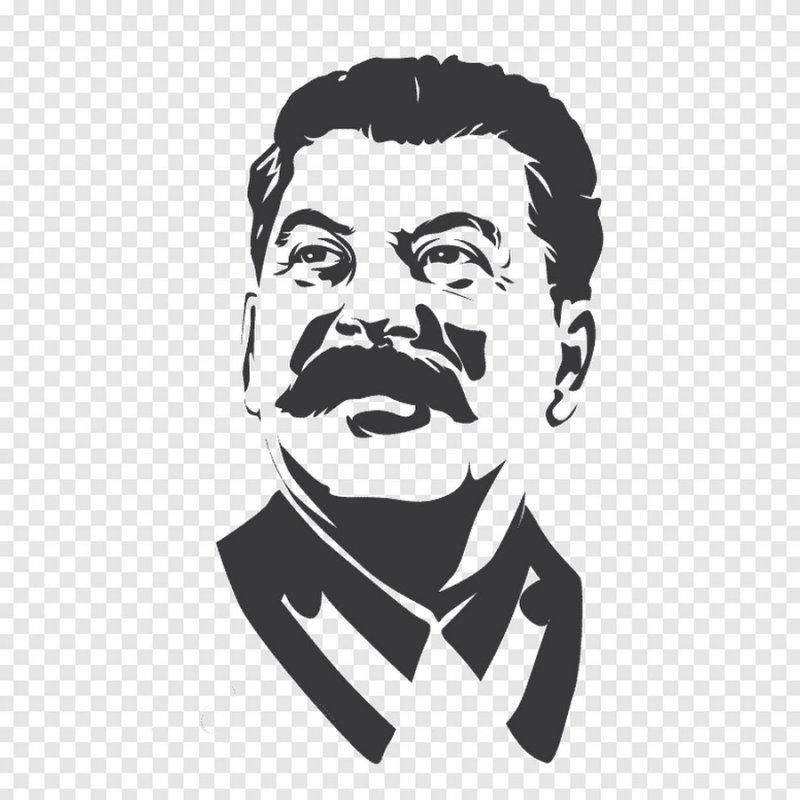 Иосиф Виссарионович Сталин вектор