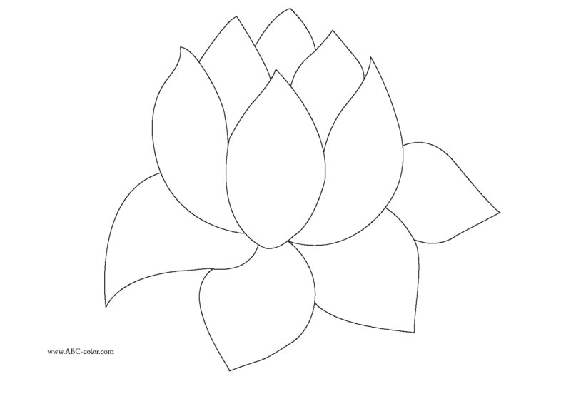 Трафарет цветка кувшинки