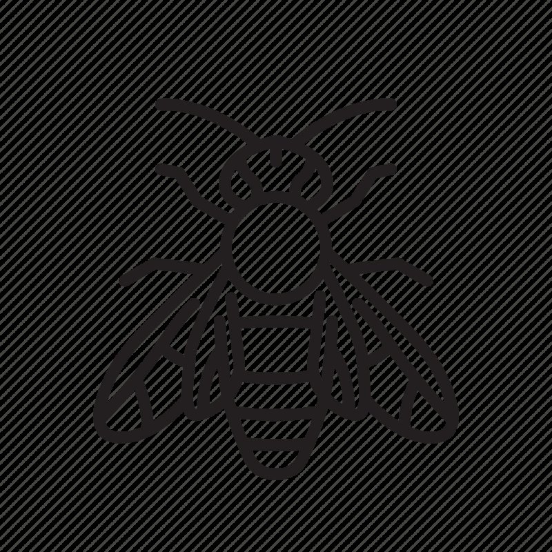 Муха трафарет