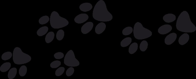 Отпечаток лапки кота