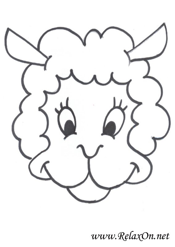 Мордашка овечки