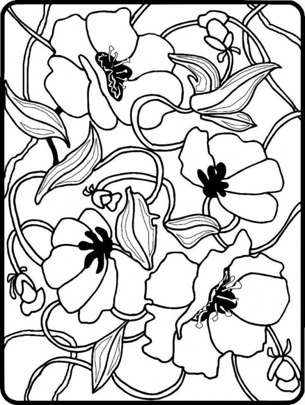 Эскизы цветов для витража