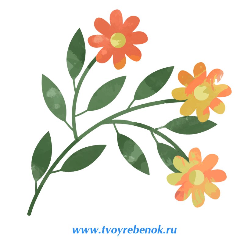 Трафареты для 3д ручки цветы