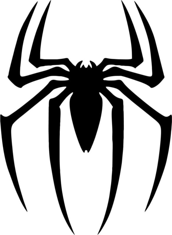 Спайдер паук