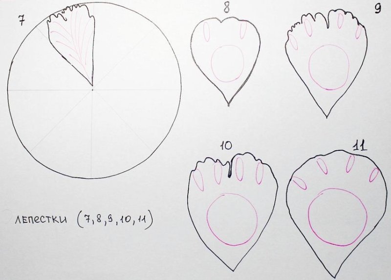 Трафарет лепестков пиона
