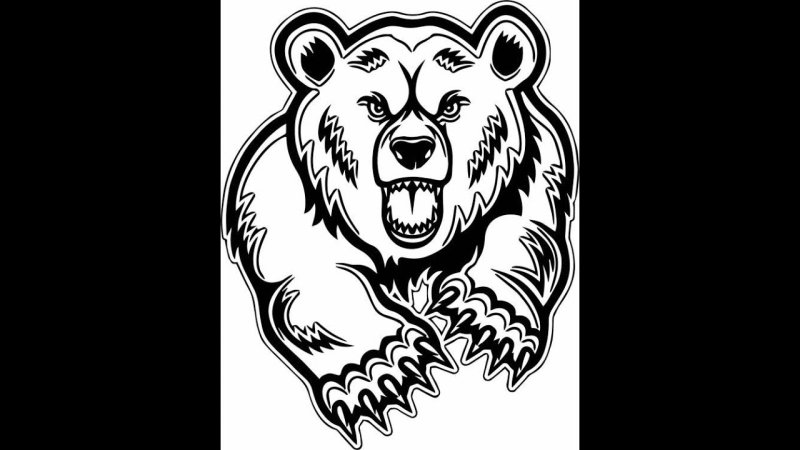 Медведь тату эскиз