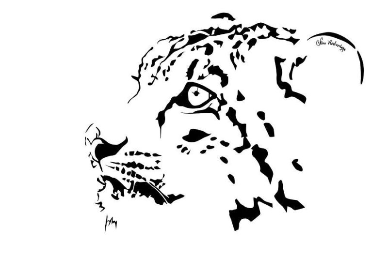 Снежный Барс трафарет