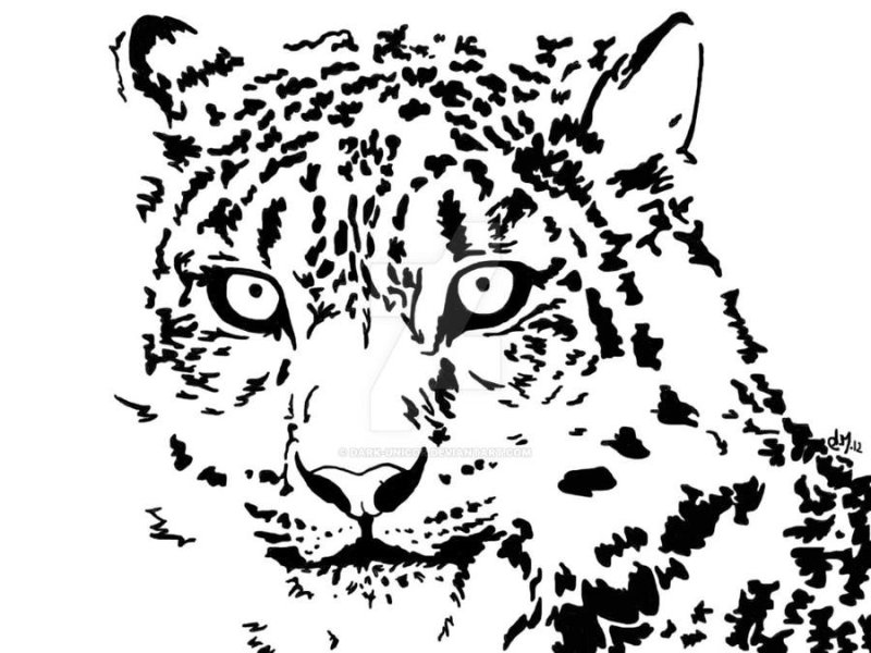 Леопард контурный рисунок