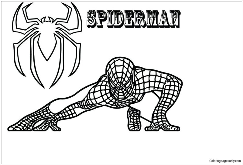 Человек паук раскраска для детей