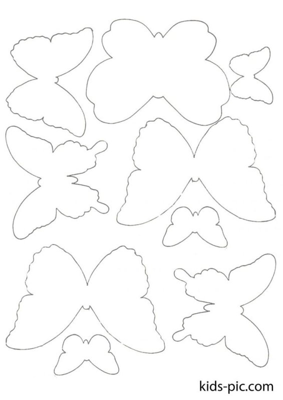 Шаблон бабочки