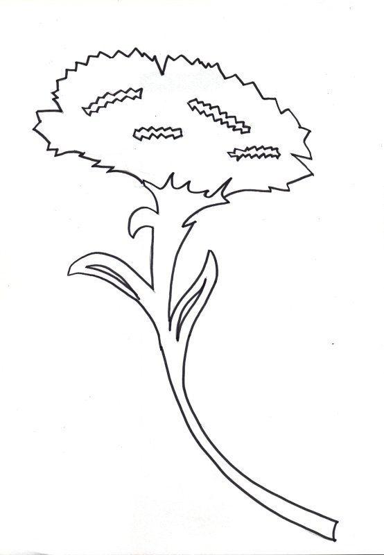 Вытынанки цветы гвоздики