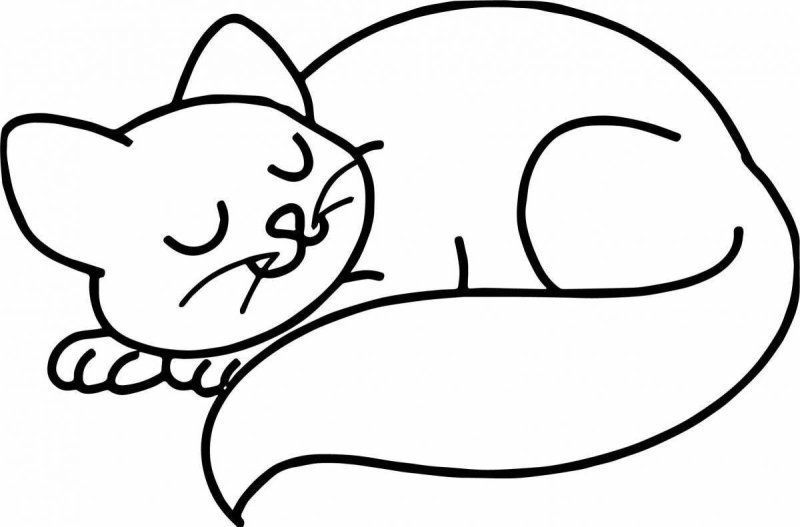 Котик для раскрашивания