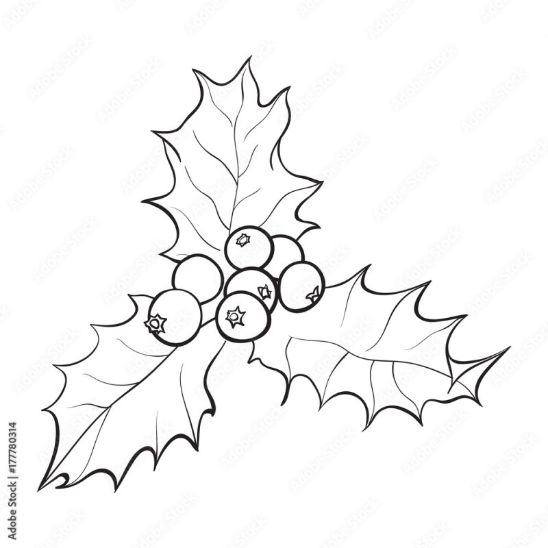 Омела трафарет