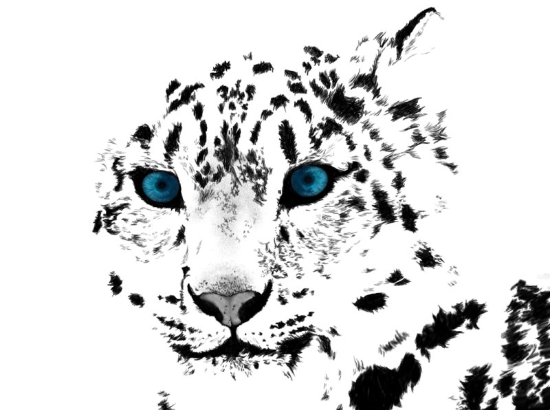 Снежный Барс рисунок