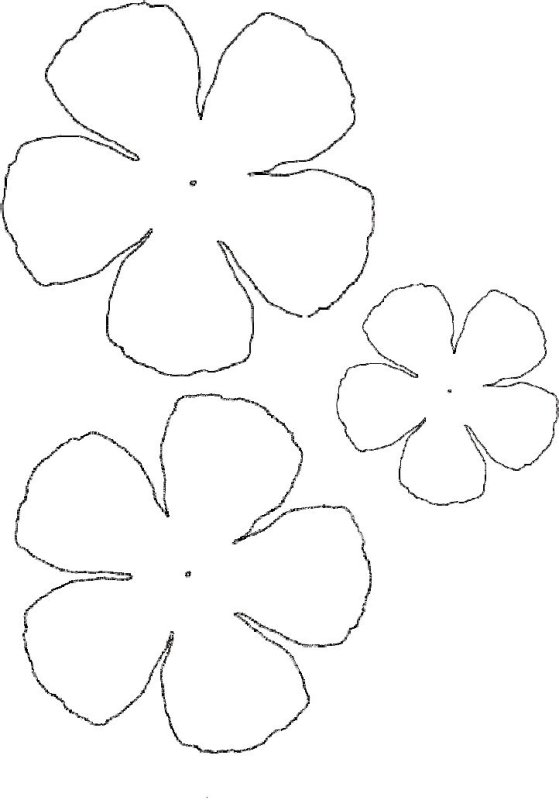 Трафареты цветов для поделок