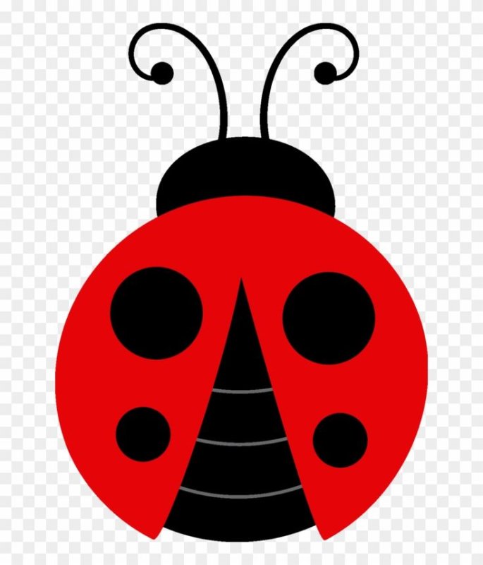 Божьи коровки