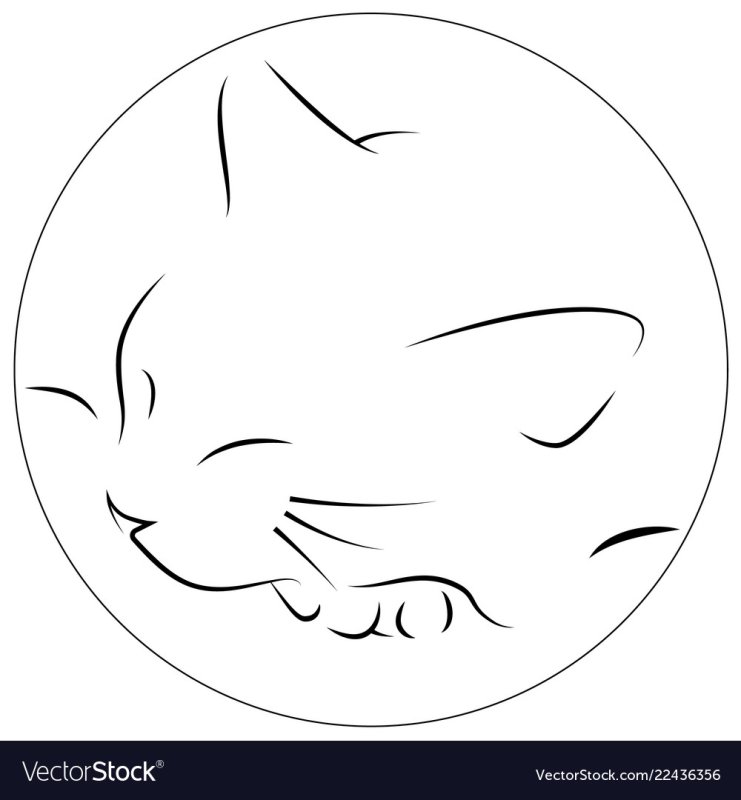 Контур спящего кота