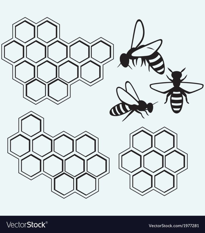 Трафарет соты пчелиные для торта