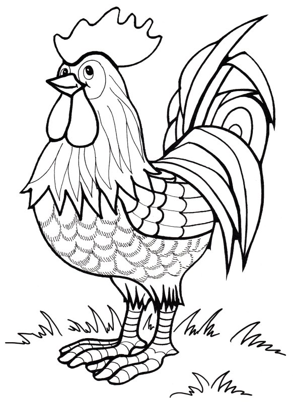 Петушок золотой гребешок раскраска