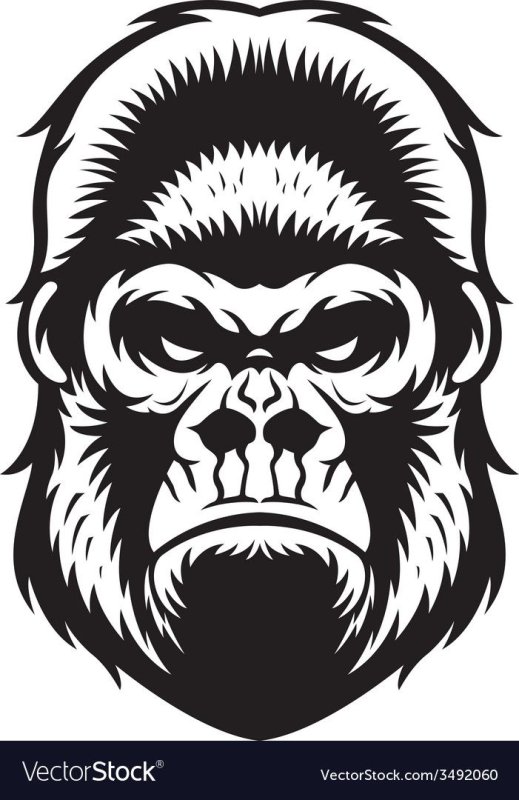 Силуэт головы гориллы