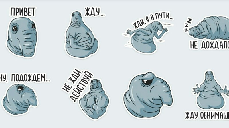 Ждун стикер