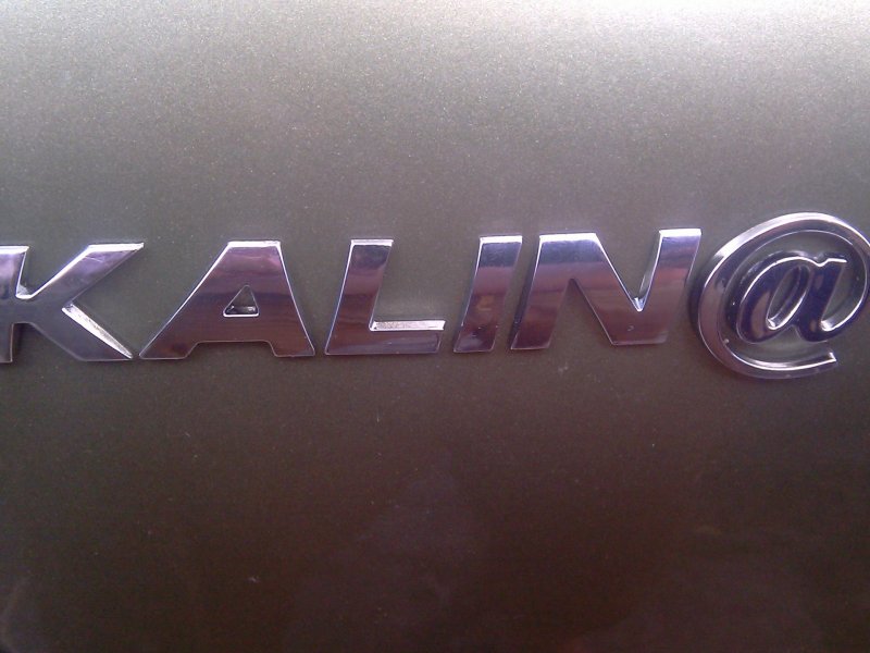 Логотип Лады калины