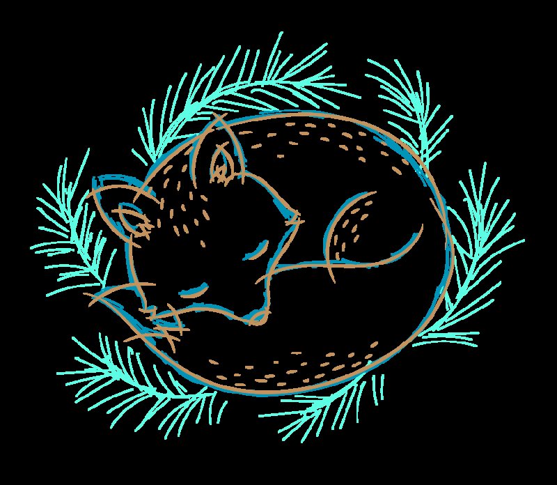 Котик контур