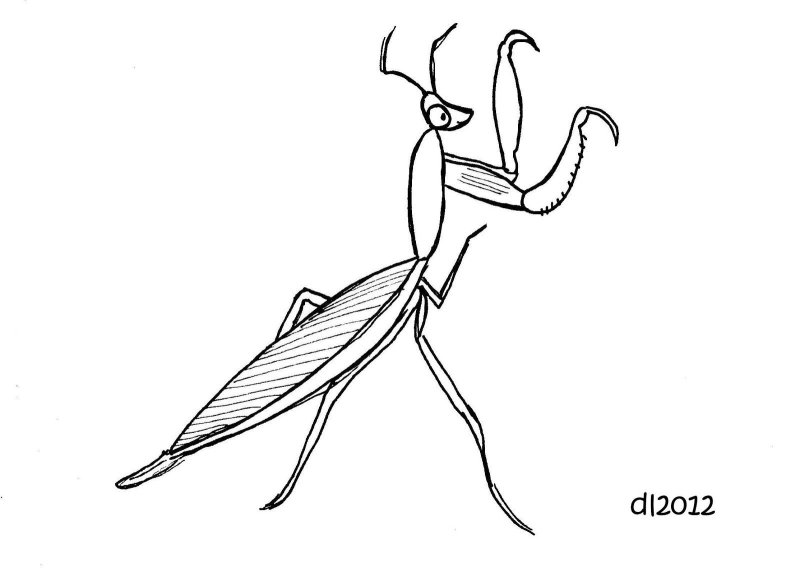 Богомол раскраска