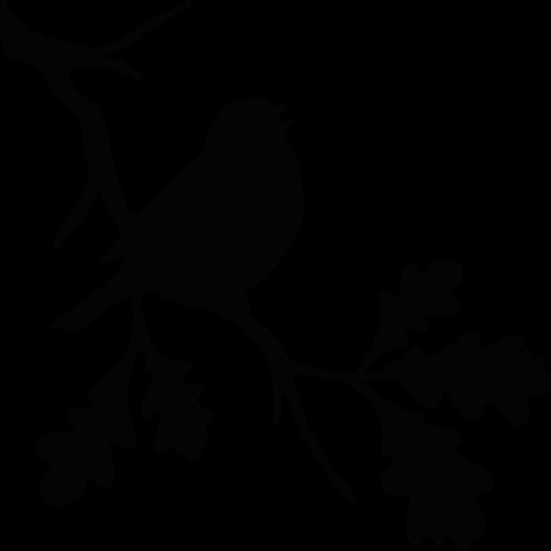 Силуэт птицы на ветке