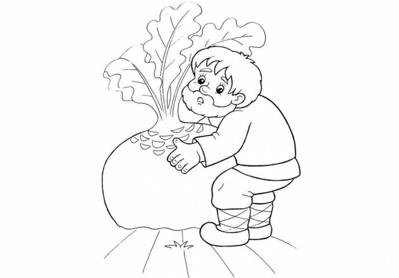 Сказки-раскраски. Репка