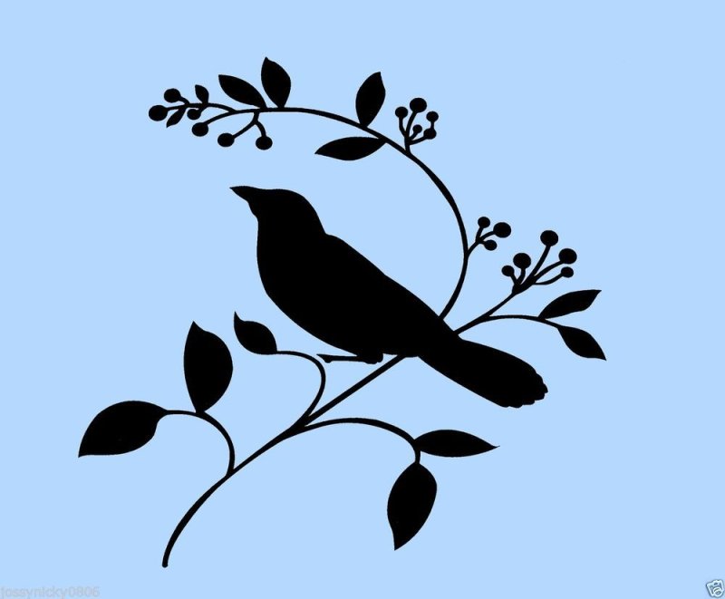 Силуэт птицы на ветке