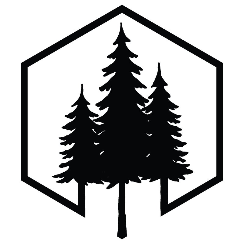 Сосна иконка