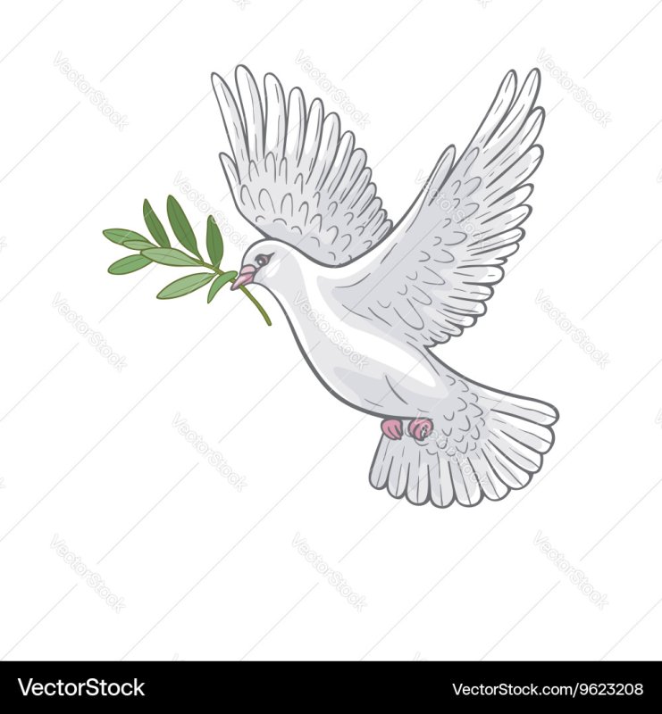 Белый голубь с веточкой в клюве