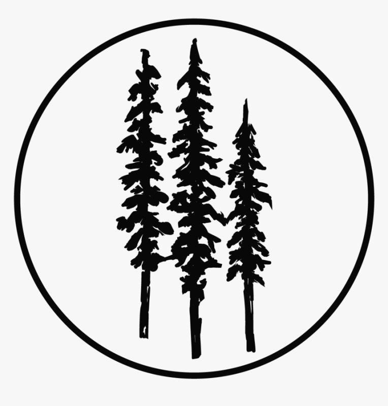 Силуэты елей