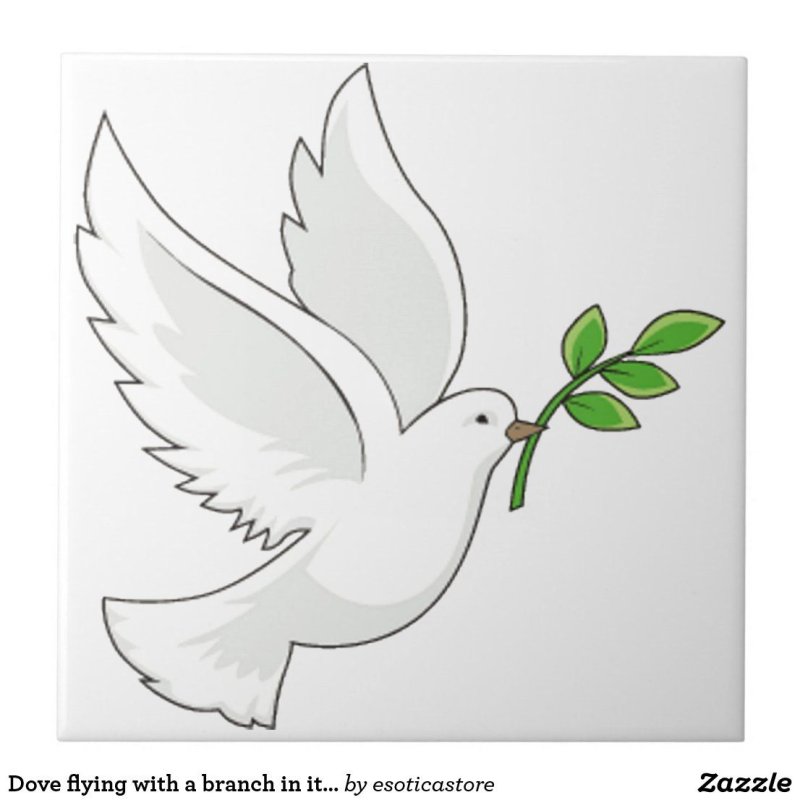 Голубь с веточкой трафарет