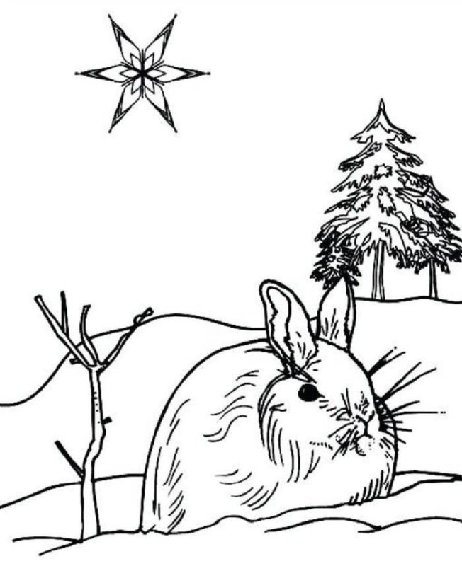 Зимний лес раскраска для детей