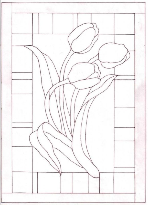 Кинусайга ирисы